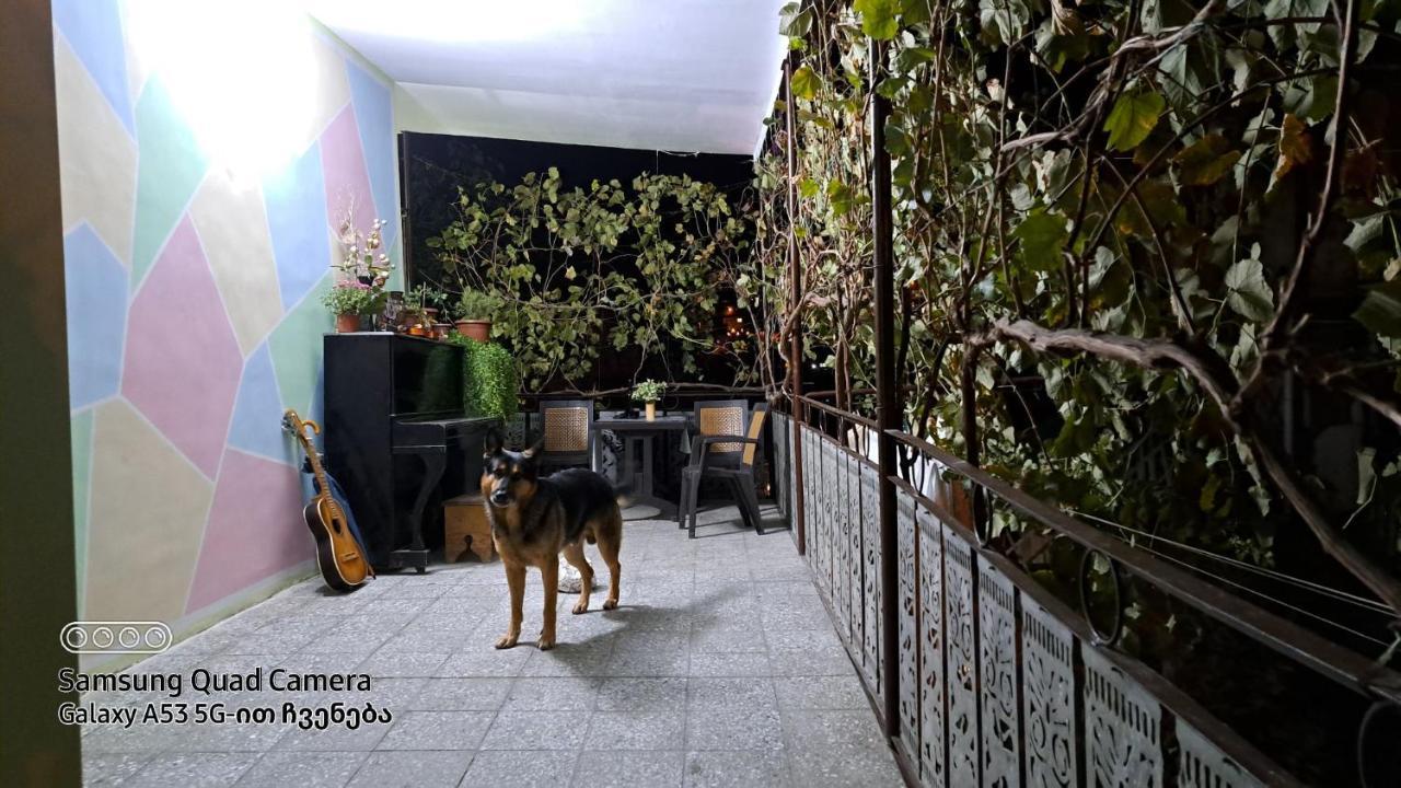 Apartment With A Nice Terrace In Old City Center تبليسي المظهر الخارجي الصورة